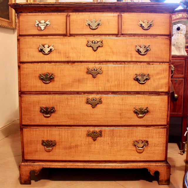 Pair of Large New England Tiger Maple Chippendale Chests of Drawers For Sale - Image 4 of 18