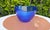 Cobalt Glass Plate by Hadeland Glassworks, 1970s For Sale - Image 4 of 7