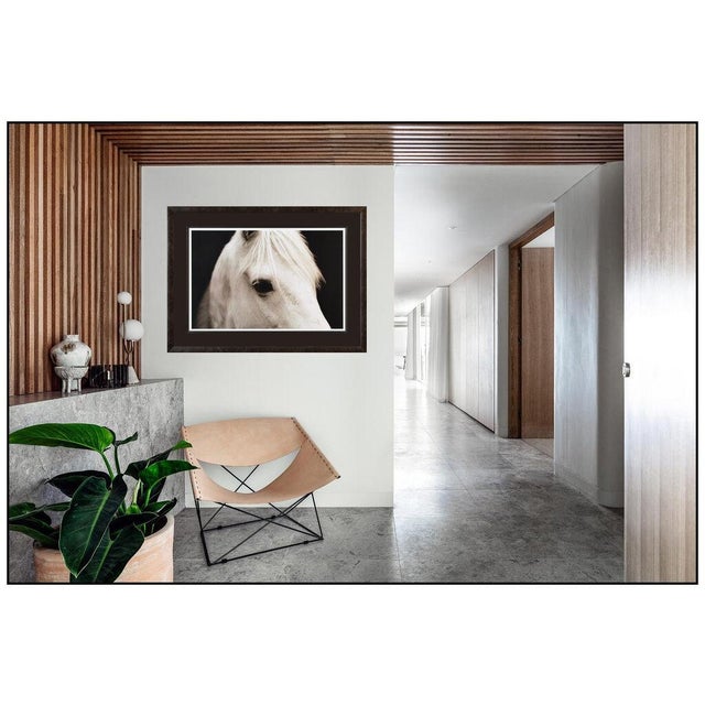 Message us to inquire about custom framing options! (Included for free with every purchase) The artwork here, "Horse Eye",...