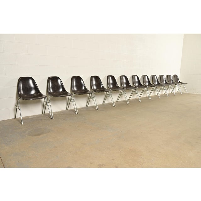 Charles & Ray Eames for Herman Miller DSS Seal Brown Stacking Shell Chairs | Set of Twelve For Sale - Image 15 of 15