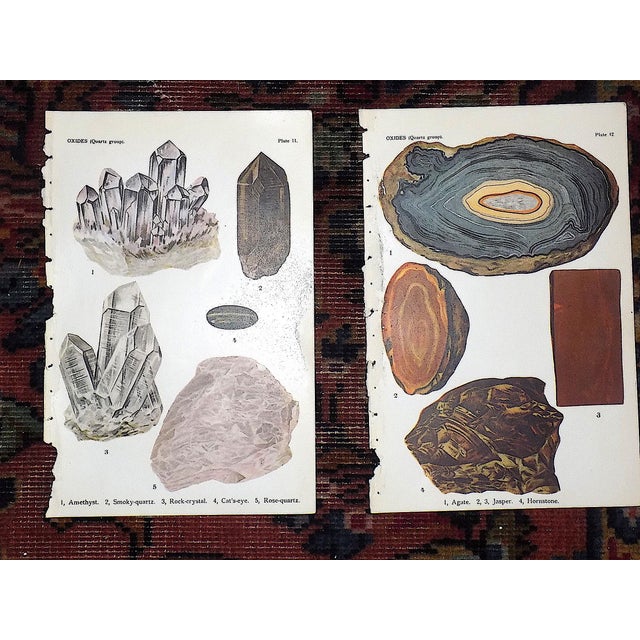 Printmaking Materials Authentic Antique 1916 Mineral Lithographs - Set of 12 For Sale - Image 7 of 8