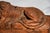 Wood 19th Century Bertel Thorvaldsen Lion of Lucerne Grand Tour Wood Sculpture Statue Hand Carved Swiss European Art Switzerland Home Decor For Sale - Image 7 of 17
