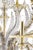 Huge Transparent and Gold Ca’ Rezzonico With Leaves Murano Glass Chandelier For Sale - Image 6 of 7