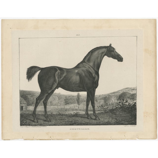 After Chalon, Equestrian Illustrations, Lithographs, 1840, Set of 4 For Sale - Image 9 of 12