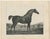 After Chalon, Equestrian Illustrations, Lithographs, 1840, Set of 4 For Sale - Image 9 of 12