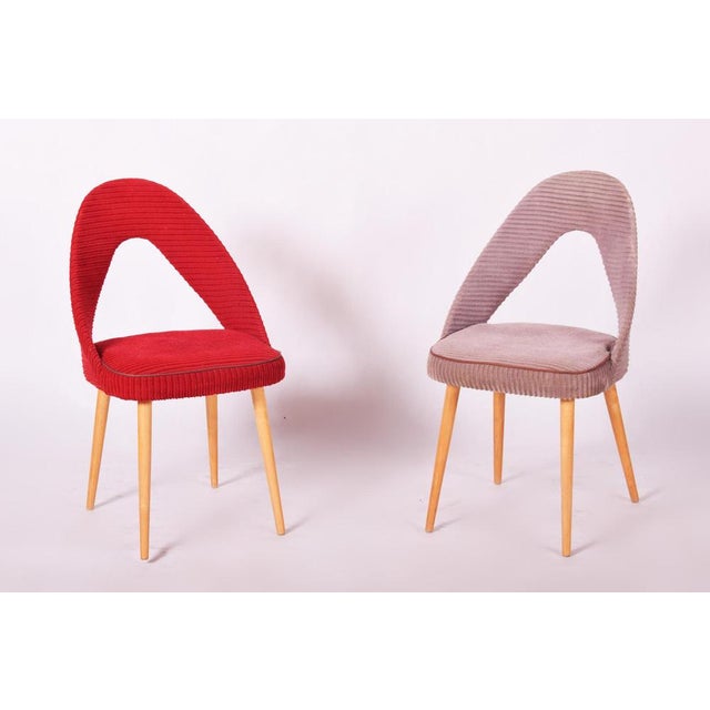 Mid-Century Chairs in Beech, Czech, 1950s, Set of 4 For Sale - Image 4 of 11
