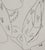 Modern Henri Matisse, Femme charmeuse, Lithograph For Sale - Image 3 of 6