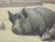 Wood Oil on Board Painting of Pigs, Signed Julia s.g. Porter For Sale - Image 7 of 14