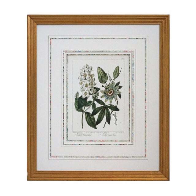 English Late 20th Century Pair of Gilt-Framed Large Botanical Prints: Calla Lily & Passion Flower For Sale - Image 3 of 7