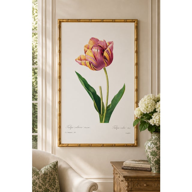 Paper Tulip by Pierre-Joseph Redouté, Vintage Botanical Art Print, 40" X 60" For Sale - Image 7 of 11
