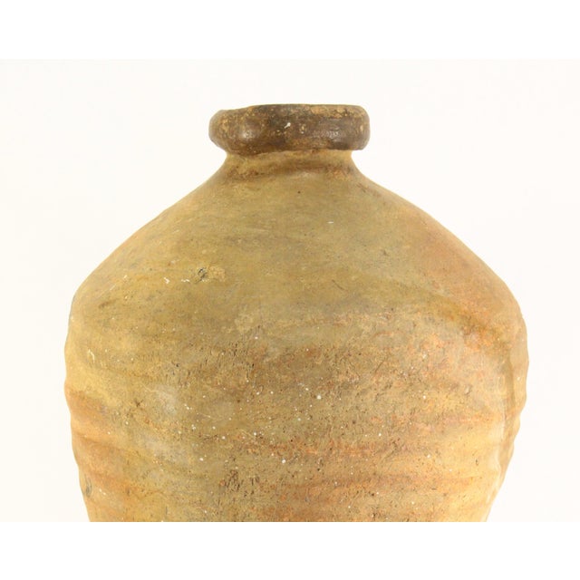 Spanish Colonial Redware Terracotta Amphorae Jar for Fine Wines For Sale - Image 9 of 18