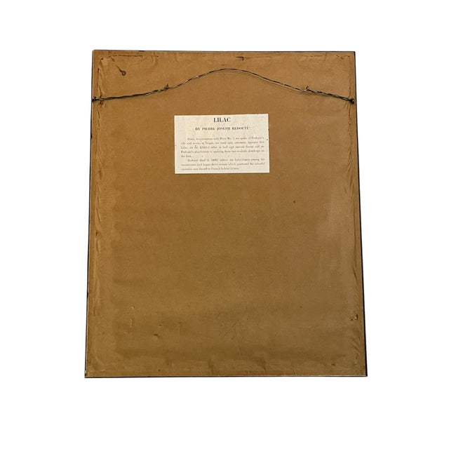 Pair Vintage English Country House Framed Floral Botanical Prints After Redoute and Chirat For Sale - Image 9 of 14