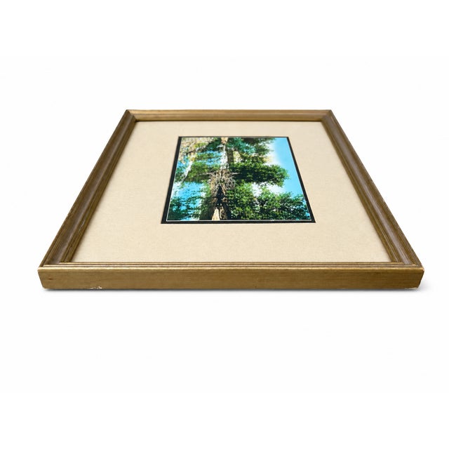 Early 20th Century Wallace Nutting “The Swimming Pool” Hand-Colored Photograph, Signed, Gilt Frame For Sale - Image 4 of 7