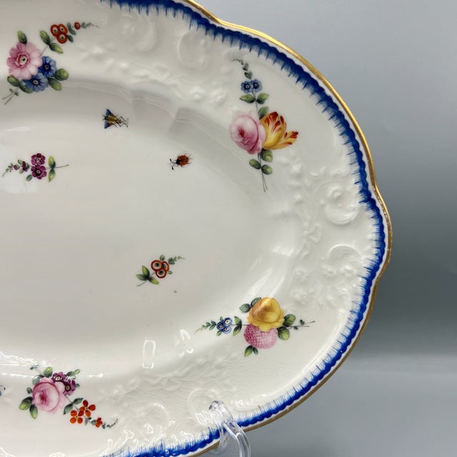19th Century Large Antique Oval Porcelain Plate with Hand-Painted Flowers and Insects from Nantgarw England, 1810s For Sale - Image 5 of 13