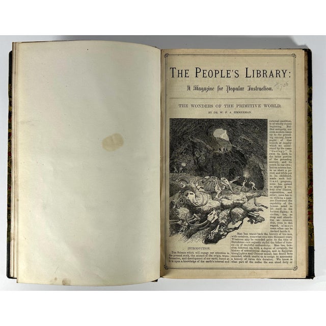 A & J Zimmerman Ltd. Wonders of the Primitive World: Antique 1869 Illustrated Book For Sale - Image 4 of 10