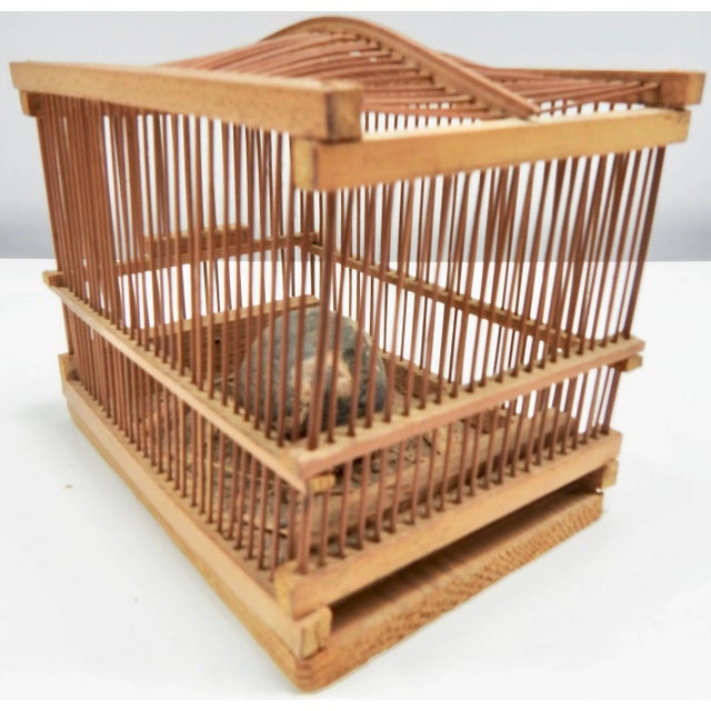 Wood Early Chinese Lucky Cricket Cage For Sale - Image 7 of 9