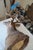 White Tail Deer Head & Shoulder Mount For Sale - Image 16 of 18