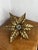 Flower Wall Sconce attributed to Willy Daro for Massive, 1970s For Sale - Image 13 of 14