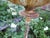 Cast Iron Birdbath, 1990s For Sale - Image 14 of 17