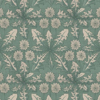 Taraxa Wallpaper - Euphorbia For Sale
