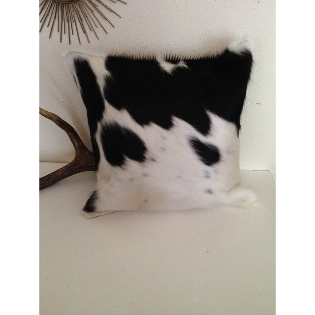 Cowhide Pillow Chairish