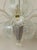 Vintage Six-Light Murano Blown Glass Chandelier from Barovier & Toso, 1930s For Sale - Image 12 of 15