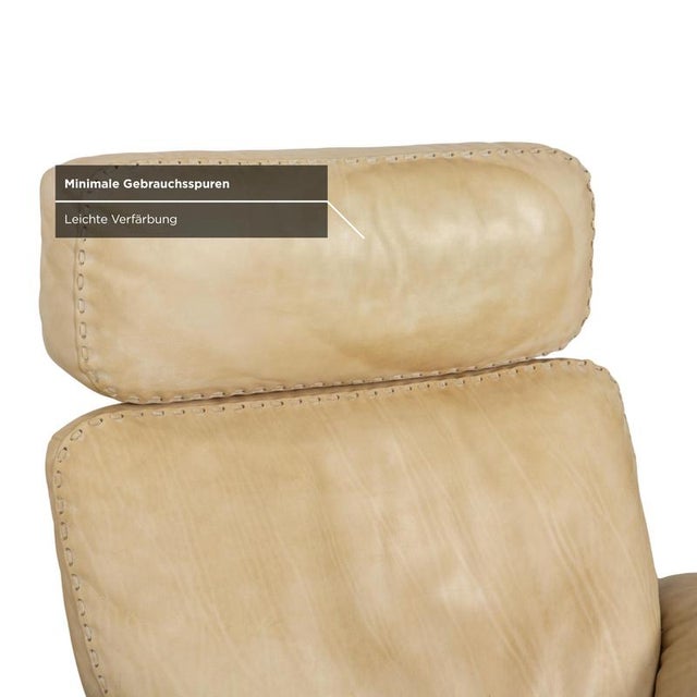 Animal Skin DS-31 Chair in Leather from de Sede For Sale - Image 7 of 18