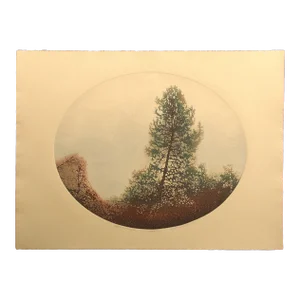 Catherine Ruane O'Connor "Spring Pines I" Original Signed Etching on Paper