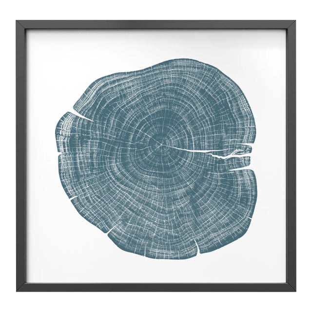 Stump 1 - Variation 5 by Trinette + Chris Print with Black Frame - 36 X 36 For Sale