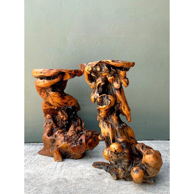 Vintage Japanese Twisted Root Pedestals - Set of Two For Sale In West Palm - Image 6 of 12