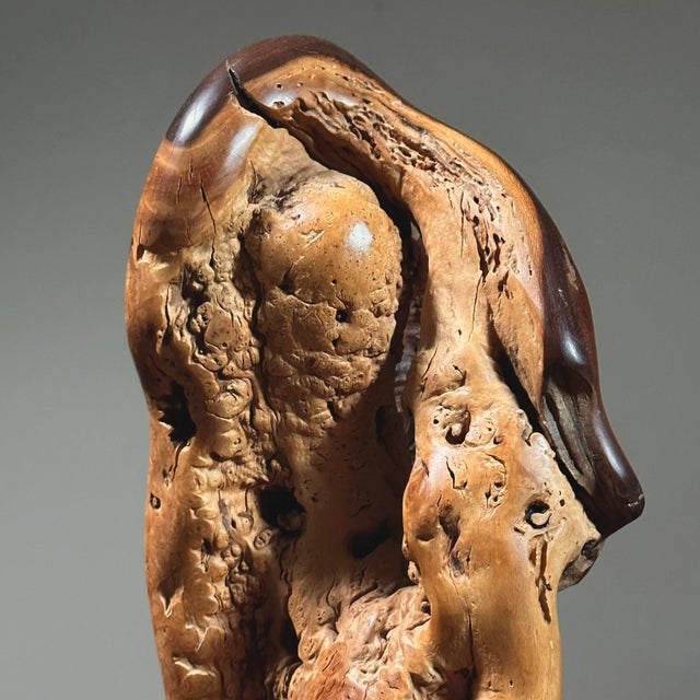 Mid 20th Century Vintage Abstract Modernist Hand Carved Burl Wood Sculpture on Stand For Sale - Image 5 of 8