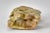 Early 20th Century Hand Carved Soapstone - Jade Vase For Sale - Image 12 of 13