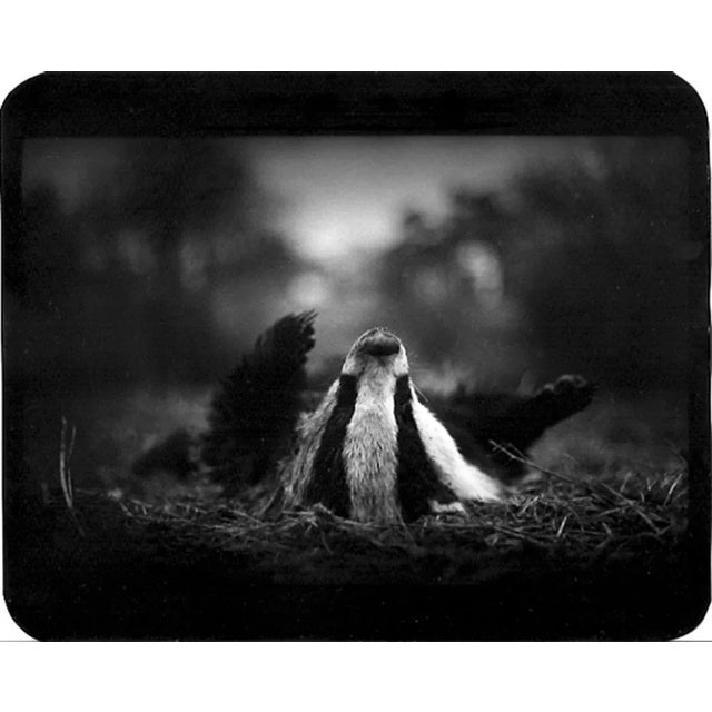 Please be aware that the US recently imposed an import duty on photographs printed in the last 20 years which may apply if...