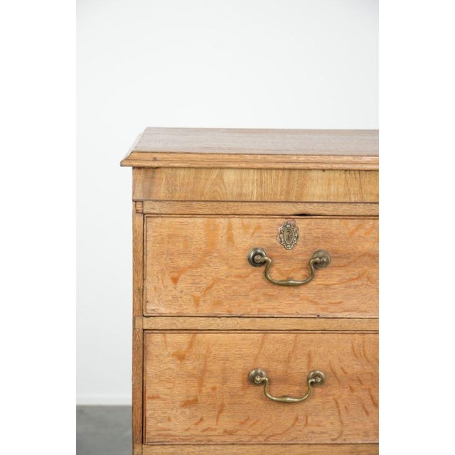 Large Antique English Blonde Oak Chest of Drawers with Gilt Elements, 18th Century For Sale - Image 8 of 14