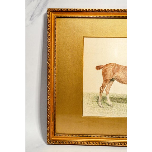 Rare Pair Antique English Horse Portraits on Silk Hand Painted Equestrian Sporting Art Home Decor For Sale - Image 12 of 17
