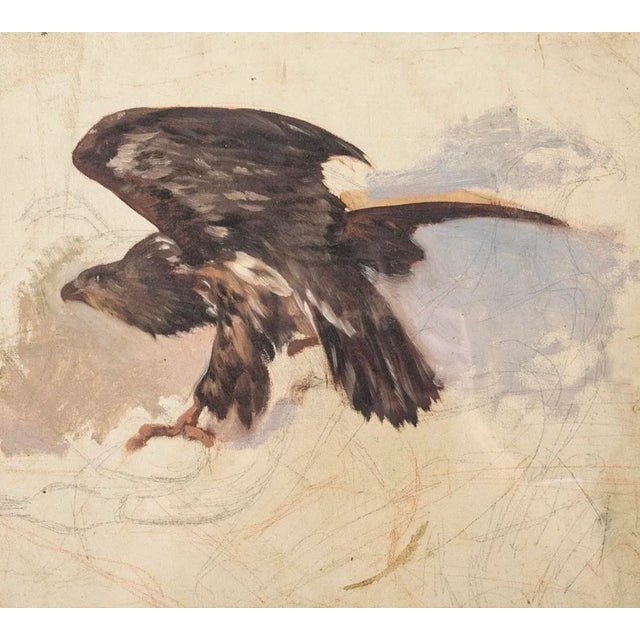 Antonie Fromholz Birnbach (German, 19th century) oil on unstretched canvas, portrait sketch depicting a full-bodied hawk...