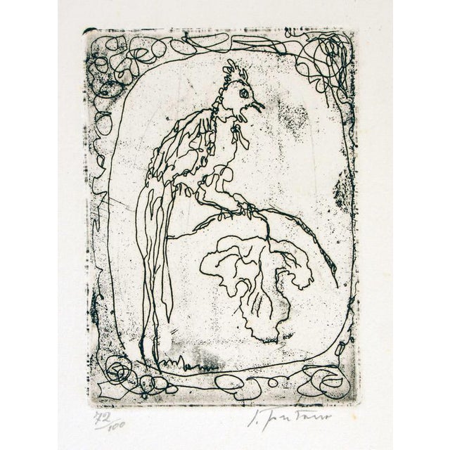 Lucio Fontana, Etching of Rooster on Branch Edition of 100, 1965, Etching For Sale