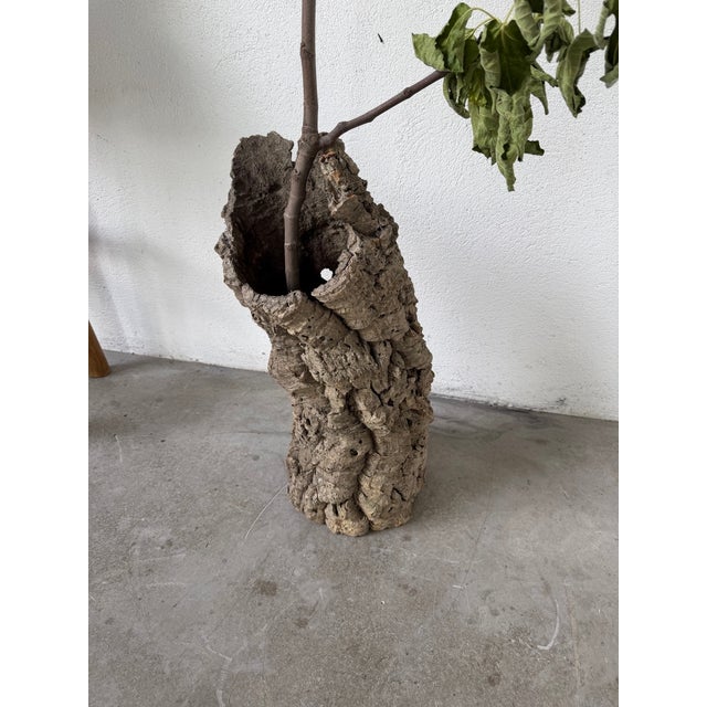 Vintage Cork Bark Vase, 1970s For Sale - Image 11 of 18