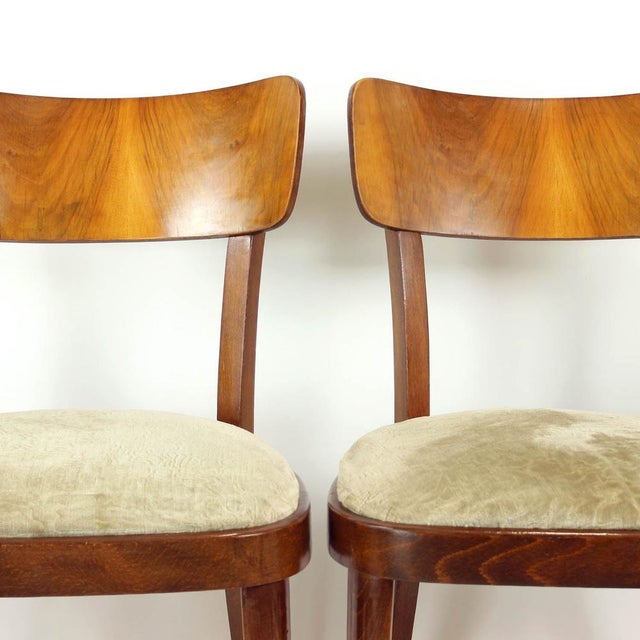Wood Dining Chairs by Tatra, Czechoslovakia, 1960s, Set of 4 For Sale - Image 7 of 12