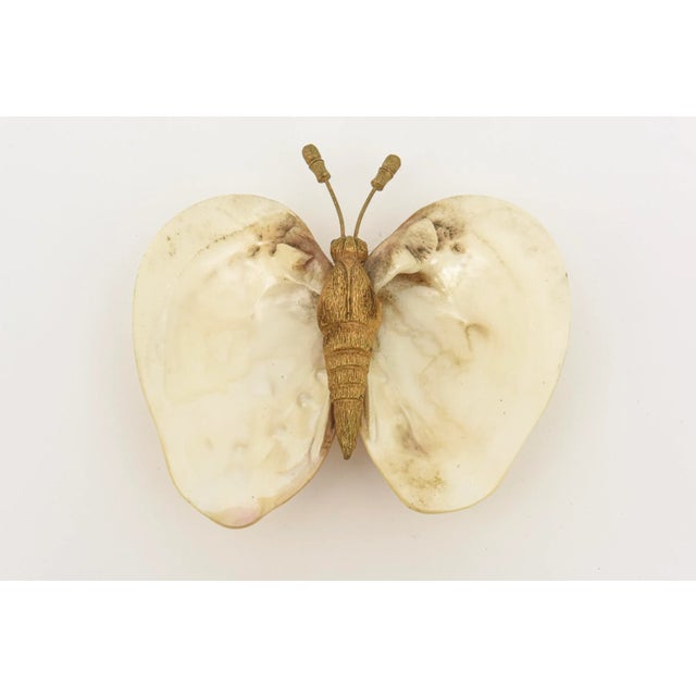Shell and Gold Plated Butterfly Bowl or Ring Dish 90's For Sale - Image 10 of 10