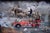 To the Rescue by Marcin Owczarek | Photography - Dye Sublimation on Aluminum Fire truck with animals For Sale