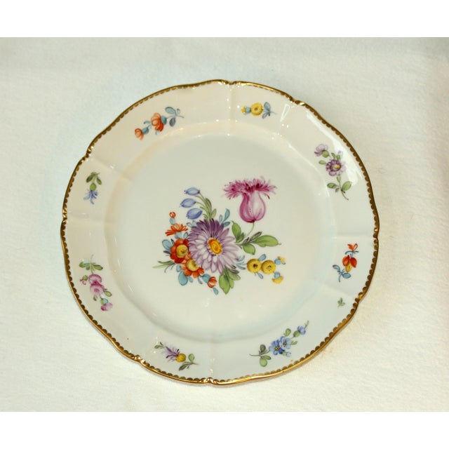 Western German Nyphenburg Salad Plate For Sale - Image 9 of 9