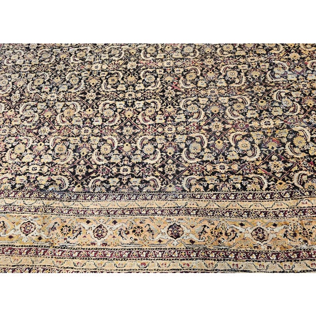 Late 19th Century Indian Agra Rug, Handwoven Wool Pile, Herati Design, 11' x 13' For Sale - Image 11 of 17