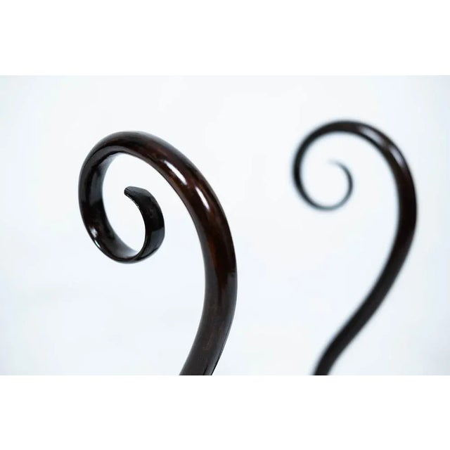 Original Jug Shape Clothing Rack, 1900s For Sale - Image 4 of 9