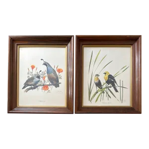 1970s Lithograph Western Bird Prints by Ray Harm, Framed and Signed, a Pair