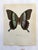 Up for sale is this gorgeous lithograph by F. Prochazka, published in Great Britain in 1965. It is in excellent, gently-...