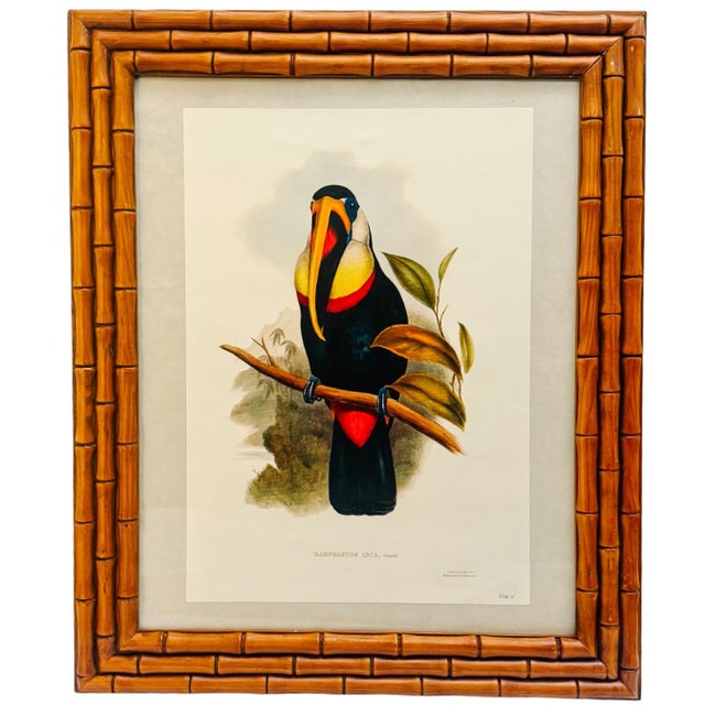 A striking pair of tropical bird lithograph prints, sourced directly from Paris. This curated set features two iconic...