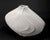 Sculptural Mid Century Modern ceramic vessel by Los Angeles artist Beverly Morrison. Nami—meaning “wave” in...