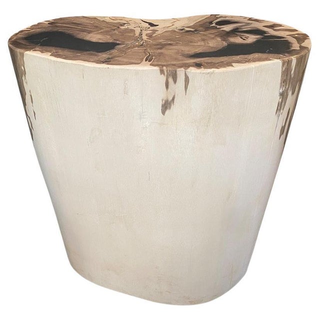 Andrianna Shamaris High Quality Exquisite Petrified Wood Side Table For Sale - Image 15 of 18