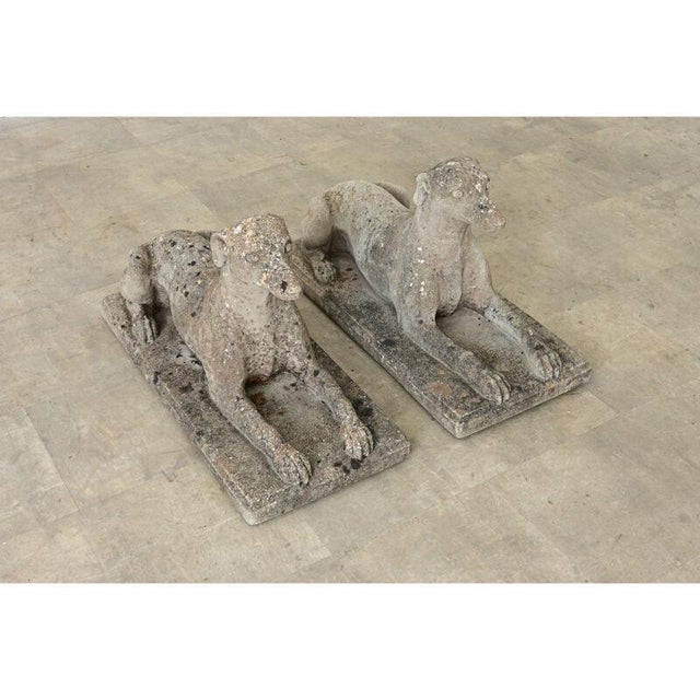 English Early 20th Century English Pair of Cast Stone Whippet Garden Statues For Sale - Image 3 of 10